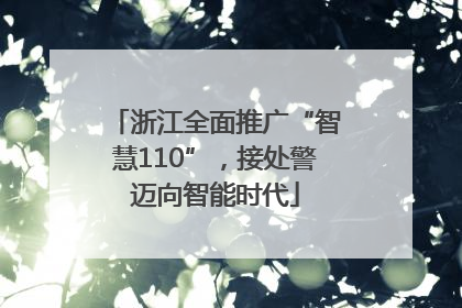 浙江全面推广“智慧110”，接处警迈向智能时代
