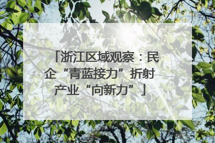 浙江区域观察：民企“青蓝接力”折射产业“向新力”