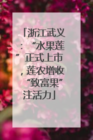 浙江武义：“水果莲”正式上市，莲农增收“致富果”注活力