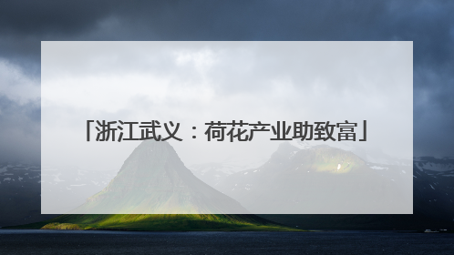 浙江武义：荷花产业助致富