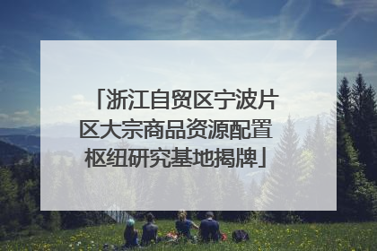 浙江自贸区宁波片区大宗商品资源配置枢纽研究基地揭牌