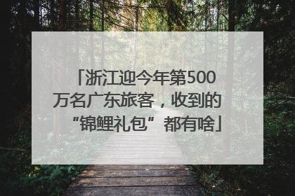 浙江迎今年第500万名广东旅客，收到的“锦鲤礼包”都有啥