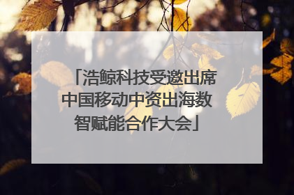 浩鲸科技受邀出席中国移动中资出海数智赋能合作大会