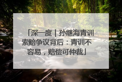 深一度｜孙继海青训索赔争议背后：青训不容易，赔偿可仲裁