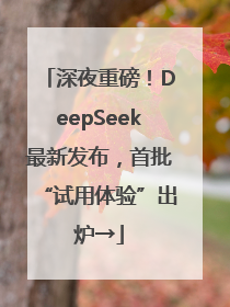 深夜重磅！DeepSeek最新发布，首批“试用体验”出炉→