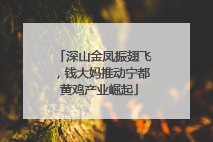 深山金凤振翅飞，钱大妈推动宁都黄鸡产业崛起