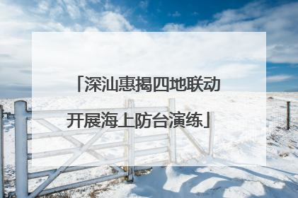 深汕惠揭四地联动开展海上防台演练