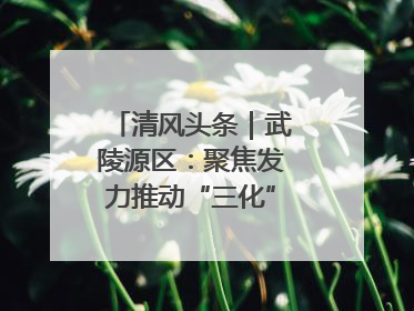 清风头条｜武陵源区：聚焦发力推动“三化”建设年行动