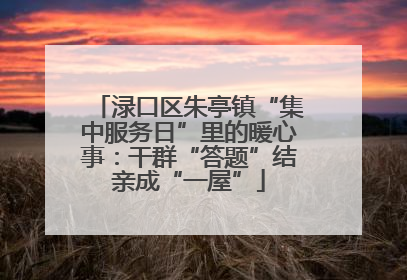 渌口区朱亭镇“集中服务日”里的暖心事：干群“答题”结亲成“一屋”