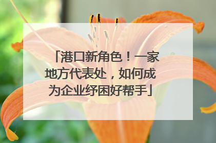 港口新角色！一家地方代表处，如何成为企业纾困好帮手
