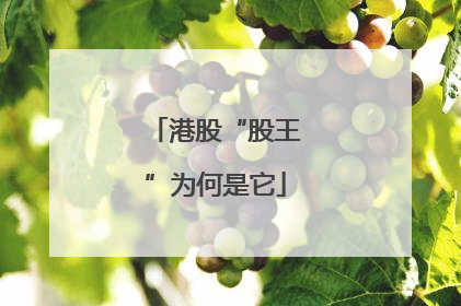 港股“股王”为何是它