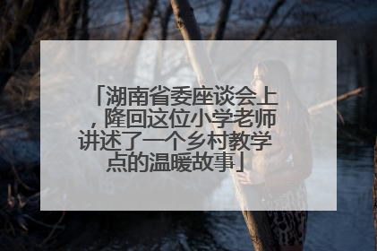 湖南省委座谈会上，隆回这位小学老师讲述了一个乡村教学点的温暖故事