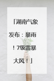 湖南气象发布：暴雨！7级雷暴大风！