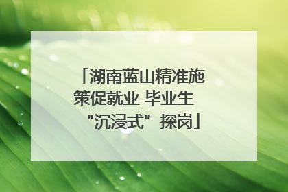 湖南蓝山精准施策促就业 毕业生“沉浸式”探岗