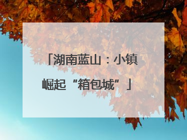 湖南蓝山：小镇崛起“箱包城”