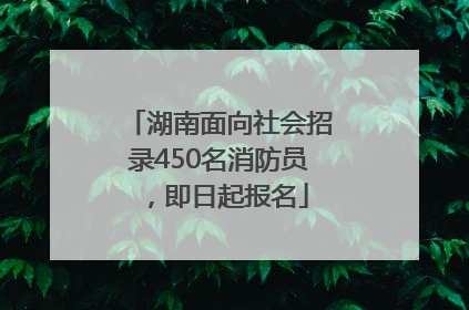 湖南面向社会招录450名消防员，即日起报名