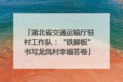 湖北省交通运输厅驻村工作队：“铁脚板”书写龙凤村幸福答卷