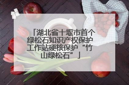 湖北省十堰市首个绿松石知识产权保护工作站硬核保护“竹山绿松石”