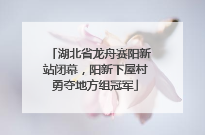 湖北省龙舟赛阳新站闭幕，阳新下屋村勇夺地方组冠军