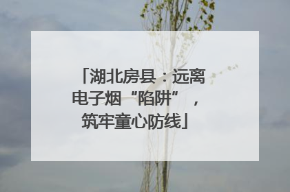 湖北房县：远离电子烟“陷阱”，筑牢童心防线