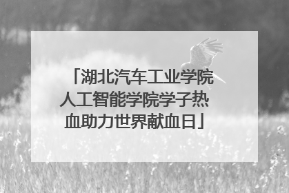 湖北汽车工业学院人工智能学院学子热血助力世界献血日
