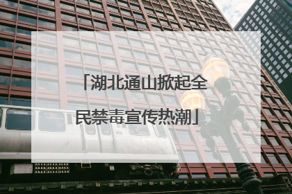 湖北通山掀起全民禁毒宣传热潮