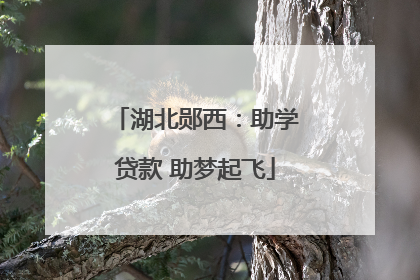 湖北郧西：助学贷款 助梦起飞