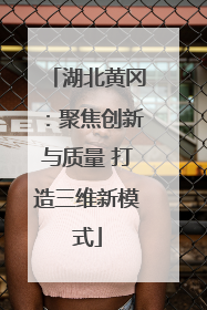 湖北黄冈：聚焦创新与质量 打造三维新模式