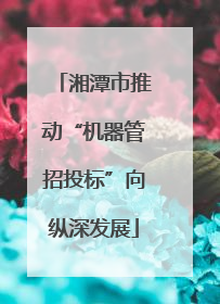 湘潭市推动“机器管招投标”向纵深发展
