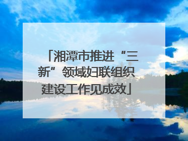 湘潭市推进“三新”领域妇联组织建设工作见成效