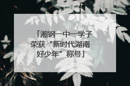 湘钢一中一学子荣获“新时代湖南好少年”称号