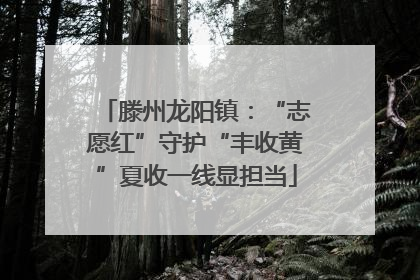 滕州龙阳镇：“志愿红”守护“丰收黄”夏收一线显担当
