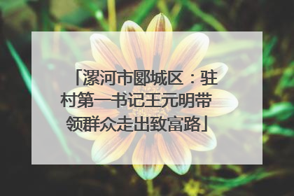 漯河市郾城区：驻村第一书记王元明带领群众走出致富路