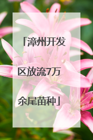 漳州开发区放流7万余尾苗种