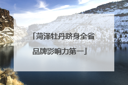 菏泽牡丹跻身全省品牌影响力第一