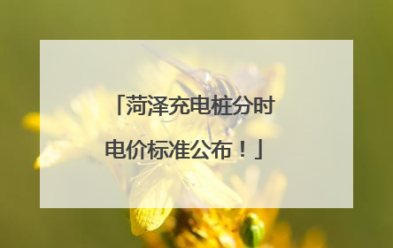 菏泽充电桩分时电价标准公布！