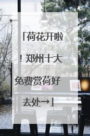 荷花开啦！郑州十大免费赏荷好去处→