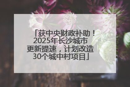获中央财政补助！2025年长沙城市更新提速，计划改造30个城中村项目