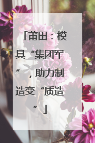 莆田：模具“集团军”，助力制造变“质造”