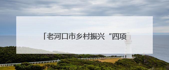 老河口市乡村振兴“四项行动”建设推进会召开