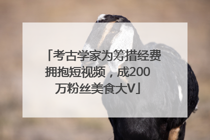考古学家为筹措经费拥抱短视频，成200万粉丝美食大V