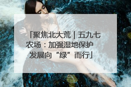 聚焦北大荒｜五九七农场：加强湿地保护 发展向“绿”而行