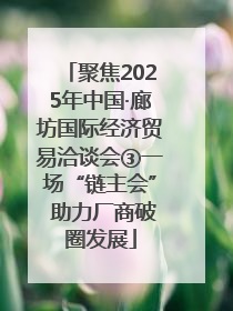 聚焦2025年中国·廊坊国际经济贸易洽谈会③一场“链主会” 助力厂商破圈发展