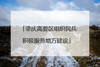 肇庆高要区组织民兵积极服务地方建设