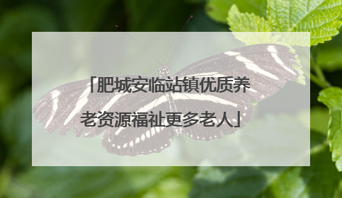 肥城安临站镇优质养老资源福祉更多老人