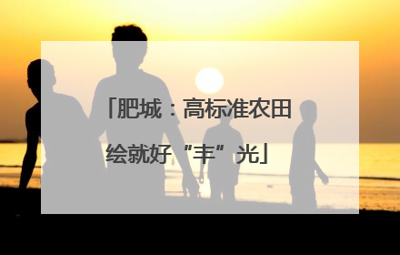 肥城：高标准农田绘就好“丰”光