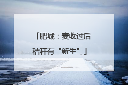 肥城：麦收过后秸秆有“新生”