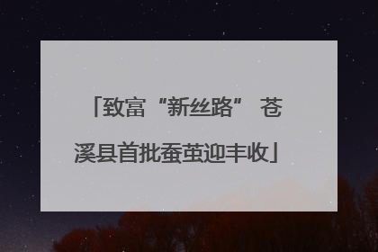 致富“新丝路” 苍溪县首批蚕茧迎丰收