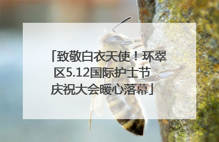 致敬白衣天使！环翠区5.12国际护士节庆祝大会暖心落幕