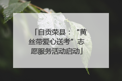 自贡荣县：“黄丝带爱心送考”志愿服务活动启动